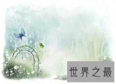 【图】蓝色蝴蝶的含义有很多 其中蓝色蝴蝶gv又是什么