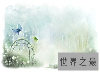 【图】蓝色蝴蝶的含义有很多 其中蓝色蝴蝶gv又是什么