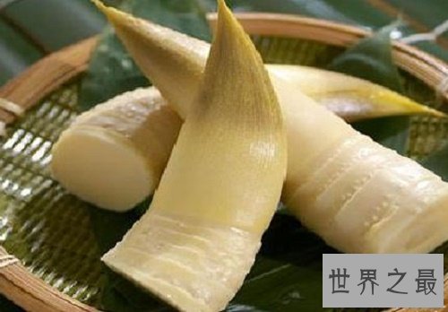 【图】竹笋的做法，春天里的鲜嫩，珍藏于四季的美味