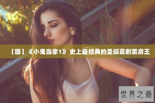 【图】《小鬼当家1》 史上最经典的圣诞喜剧票房王