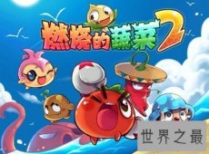 【图】来和白凯南一起燃烧吧 燃烧的蔬菜