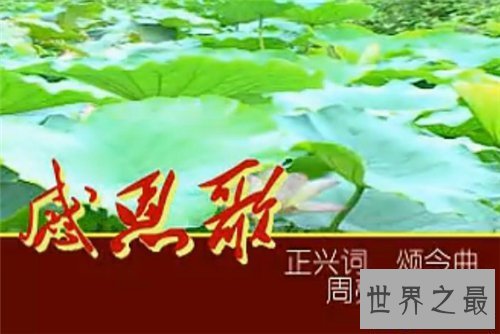 【图】关于感恩的歌引见 感恩催泪歌曲大全