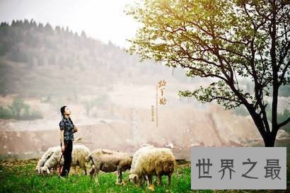 【图】 小编昔日分享一首老歌它的名字叫牧羊曲原唱