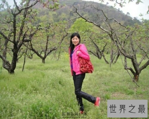 【图】中年妇女在如今这个社会上算是一个敏感的词汇