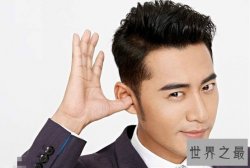 【图】中国内地优秀男演员魏巍 英俊帅气形象佳