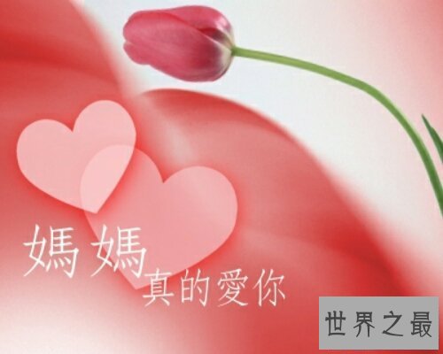 【图】用心良苦是什么意思呢？用心良苦这个曲子的相