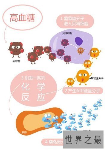 【图】血糖失常值，失常人血糖的范围为多少，如何预