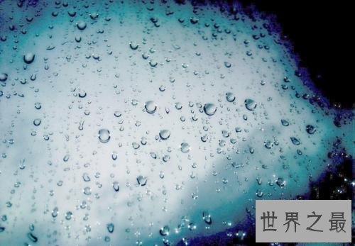 【图】梦见接吻，接吻技巧，透过蒙蒙雨丝，吻湿你干
