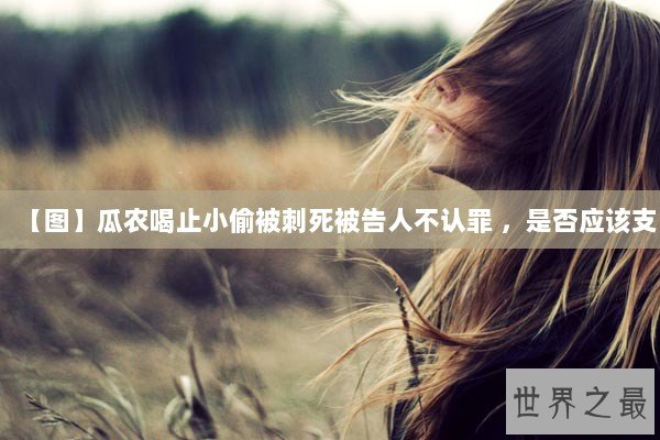 【图】瓜农喝止小偷被刺死被告人不认罪 ，是否应该支