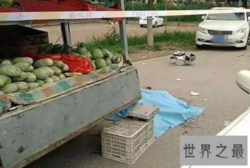 【图】瓜农喝止小偷被刺死原告人不认罪 ，能否应该支