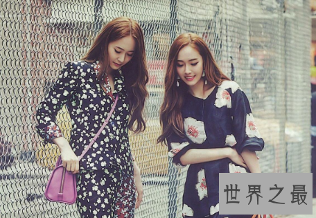 【图】走近郑氏姐妹郑秀妍郑秀晶组合