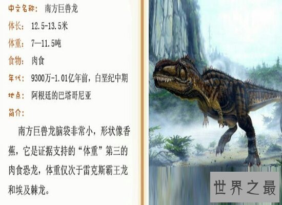 【图】南美洲最大的北方巨兽龙vs霸王龙 狭路相逢勇者