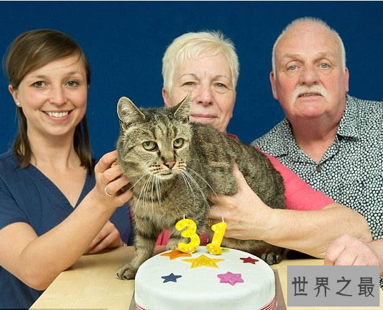 【图】最长寿猫咪耗尽9条命，这只猫的寿命竟高达140多