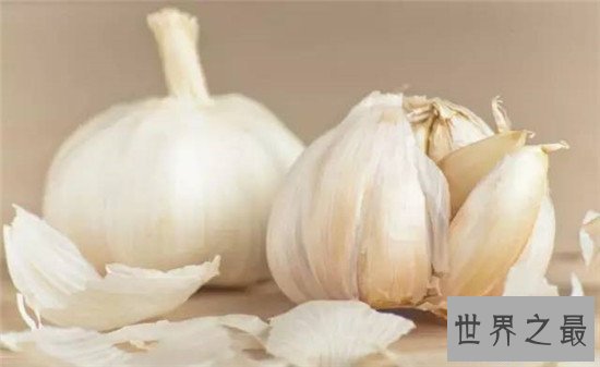 【图】蚊子怕什么？奇妙应用身边的小货色毁灭蚊子