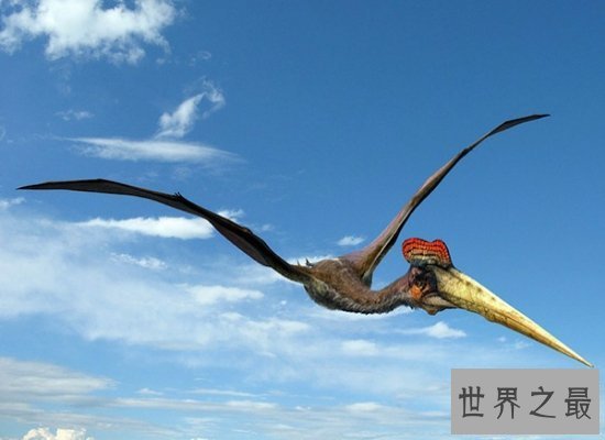 【图】具备“天空之神”之称的风神翼龙，实力超强（