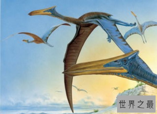 【图】具备“天空之神”之称的风神翼龙，实力超强（