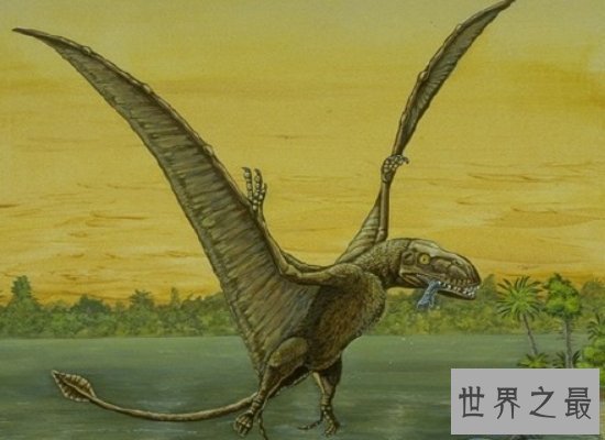 【图】具备“天空之神”之称的风神翼龙，实力超强（