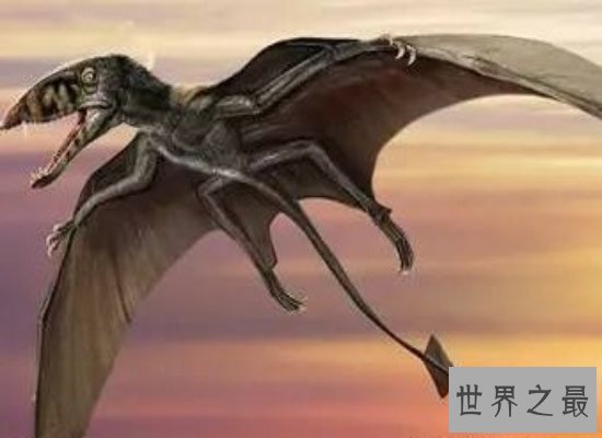 【图】具备“天空之神”之称的风神翼龙，实力超强（