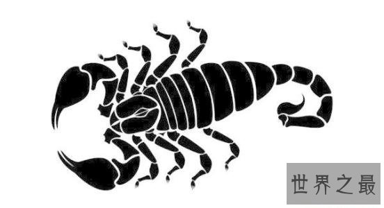 【图】天蝎座外传，你要承受我，就要先试着承受我的