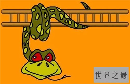 【图】属蛇的几月出生最好 属蛇的人运势怎么