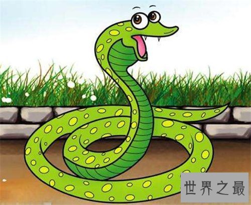 【图】属蛇的几月出生最好 属蛇的人运势怎么