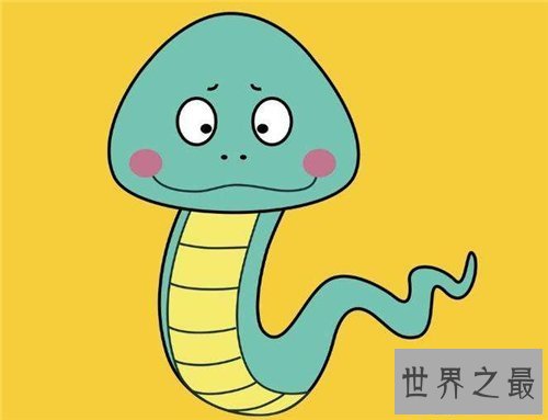 【图】属蛇的几月出生最好 属蛇的人运势怎么