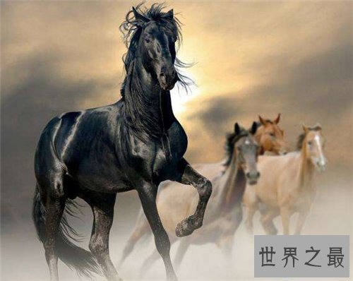 【图】1990年是什么命 1990年匹配运势具体解析