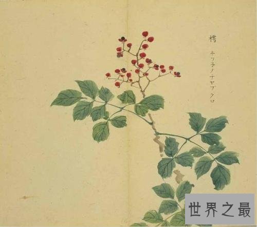 【图】诗经赏析一，蒹葭苍苍，白露为霜。所谓伊人，