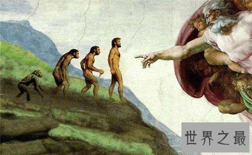 【图】物种来源具体内容简介 作者达尔文首部巨著