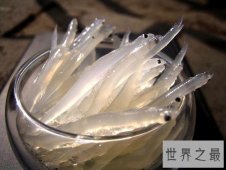 【图】银鱼的做法大全 不仅增强免疫力还能补肾润肺