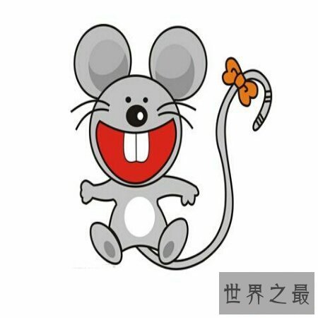 【图】属鼠的几月出生最好，你知道吗？