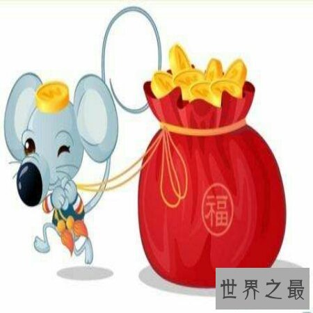 【图】属鼠的几月出生最好，你知道吗？