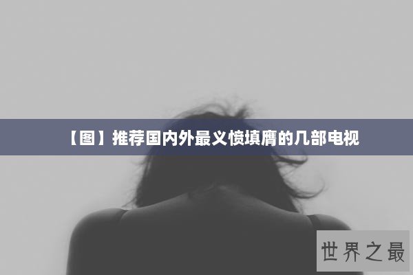 【图】推荐国内外最义愤填膺的几部电视