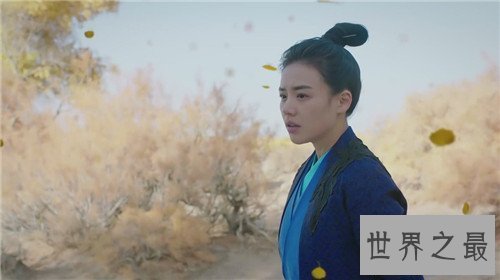 【图】将军在上叶昭历史原型引争议，终究是确有其人