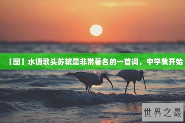 【图】水调歌头苏轼是非常著名的一首词，中学就开始