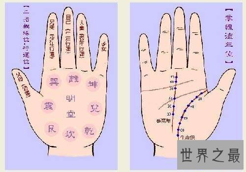 【图】断掌纹终身运势如何？男女差异一模一样