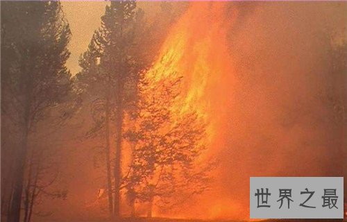【图】梦见大火具备什么寓意 梦见大火具体解梦