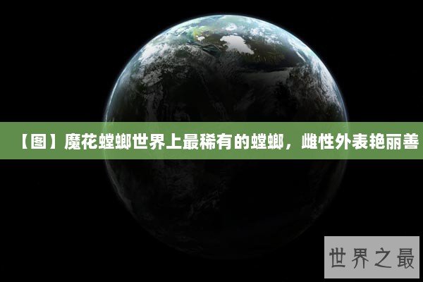 【图】魔花螳螂世界上最稀有的螳螂，雌性外表艳丽善