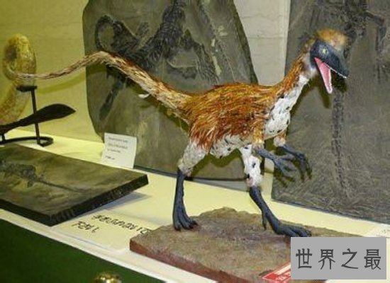 【图】史上最全恐龙图片大全看这里，这些恐龙可不是