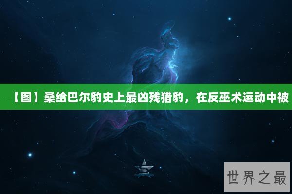 【图】桑给巴尔豹史上最凶残猎豹，在反巫术运动中被