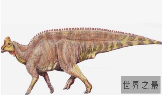 【图】世界上最大的恐龙排行，220吨易碎双腔龙勇夺第