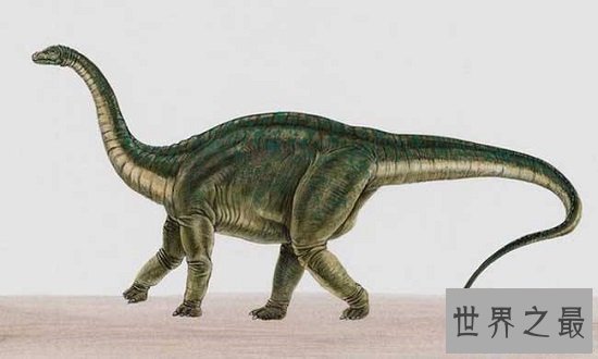 【图】世界上最大的恐龙排行，220吨易碎双腔龙勇夺第
