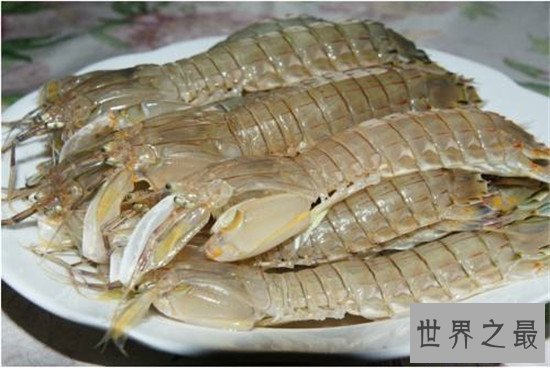 【图】皮皮虾煮后变成绿虾蛄 这种货色终究还能不能吃