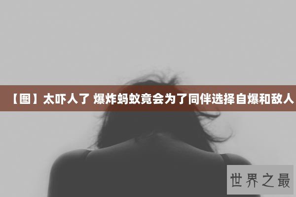 【图】太吓人了 爆炸蚂蚁竟会为了同伴选择自爆和敌人
