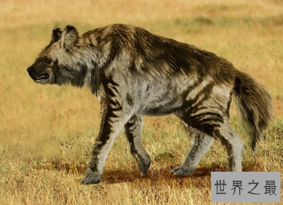 【图】世界上最大的狗“大乔治”，站立高度可达2.2米