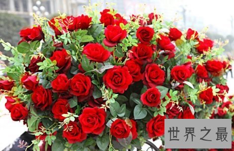 【图】玫瑰不同支数的含义不知道你还敢送玫瑰