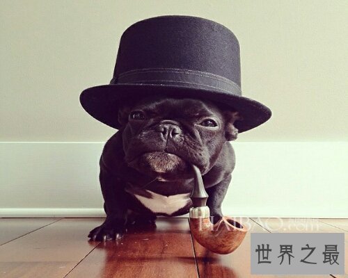 【图】可望不可即是中国的一个四字成语，还有它的成语