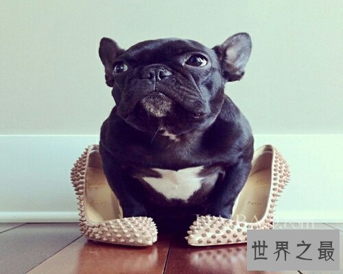 【图】可望不可即是中国的一个四字成语，还有它的成语