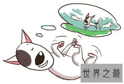 【图】做梦内容百变那么梦见吵架是什么意思