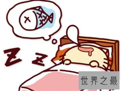 【图】做梦内容百变那么梦见吵架是什么意思